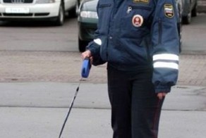 Как гаишники нарушителя с поста выгоняли!