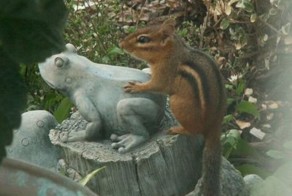 Прикольные фото