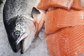 Белорусский лосось в мутной воде реэкспорта