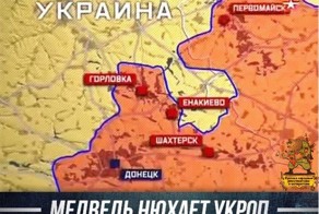 Медведь нюхает укроп