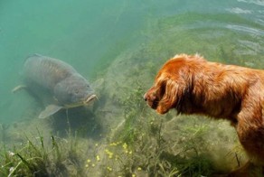 Удачный кадр  