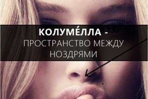 Увеличиваем словарный запас