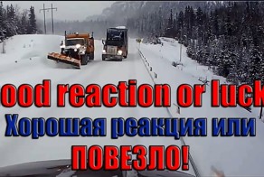 Хорошая реакция на дороге или ПОВЕЗЛО!