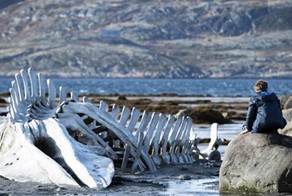 «Левиафан» - не мудрая притча, а «клюква» для Запада