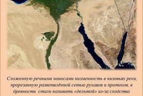 Интересные факты в картинках