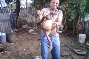 Смешная фотогалерея