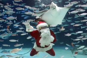 Улетное фото