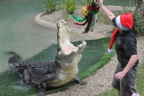 Фотоприкол бесплатно