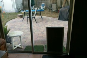 Собака и раздвижная дверь 