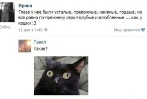 Новый фотоприкол