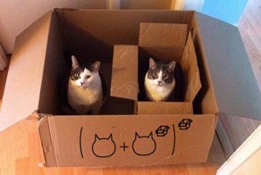 20 гифок, которые объяснят математику простым языком