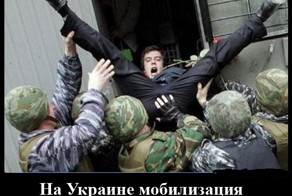 В Бессарабском крае жгут повестки и разоружают украинские патрули