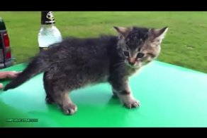 EPIC FAIL World Fun #10