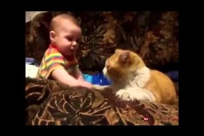 Кот заставляет спать ребенка