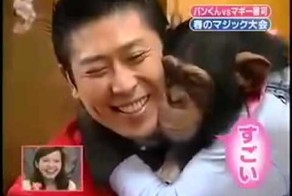 Реакция шимпанзе на фокусы