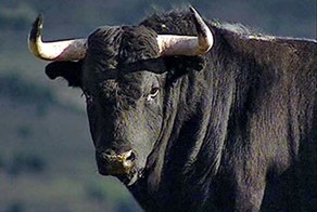 Буйволиная отбивная по-китайски.