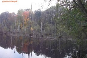 Мистическое древнее озеро 