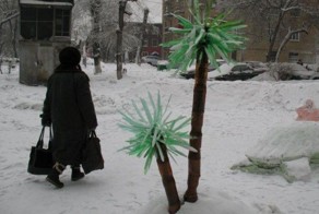 Шикарное фото