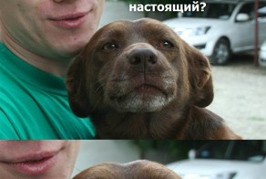 Фотоприкол бесплатно