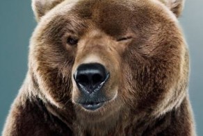 И они нас санкциями хотят напугать