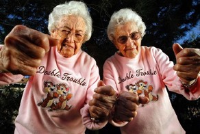 20 фактов о лучших друзьях