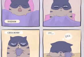 Новый фотоприкол