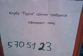 15 примеров нестандартных объявлений с предложением работы