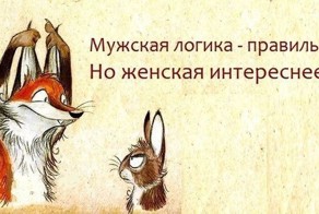 Женская логика