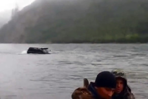 Крузак плывет