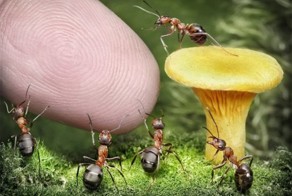 Прикол картинка