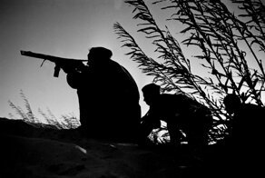 Стихотворение, которое не может оставить равнодушным