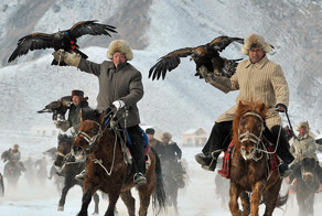Фотоподборка за 06.02.2015