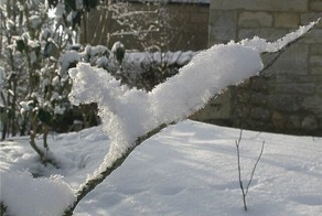Ни один мастер не вылепит из снега то, что может вылепить природа