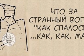 Прикольные фото