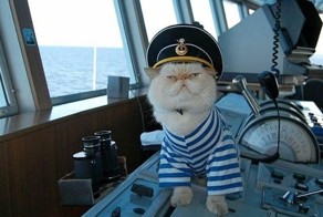 Котэ на теплоходе "Николай Чернышевский"
