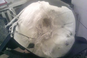 Эти не могут выиграть - они все украли