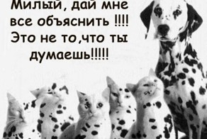 Прикольные фото и картинки от zubrilov за 09.01.2013 №141955