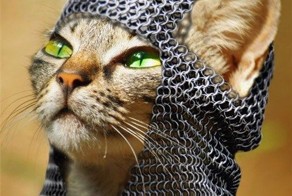 Известные афоризмы, смешные мысли, интересные высказывания