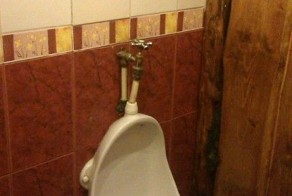 Шикарное фото