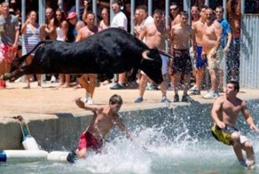 Фотоприкол недели