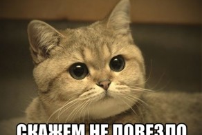 Не повезло