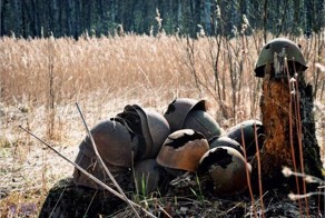 Здесь не закончилась война