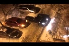 Пьяная дура 