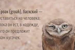 20 слов, которых нет в русском языке