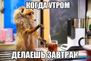 Просто смешные картинки с подписями