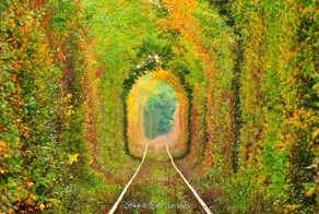 Удивительные улочки, украшенные красотой природы