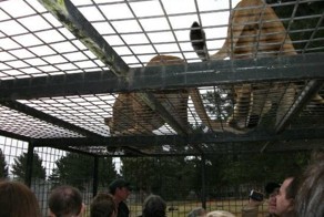 Юмор прикол