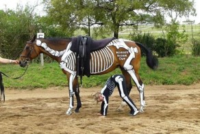 Отпадные фотки