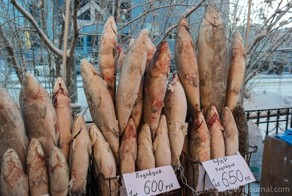 Якутия. Неизведанный край