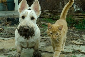 Фотоподборка